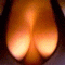judantis10